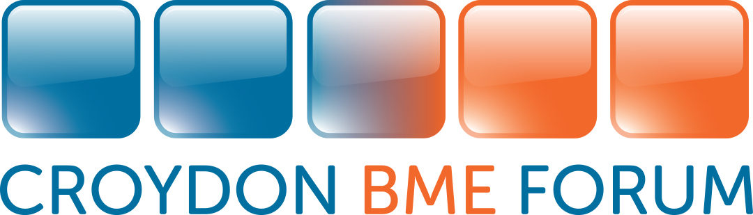 The Lake Foundation Becomes a Member of the Croydon BME Forum
