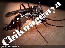 An Introduction to Chikungunya