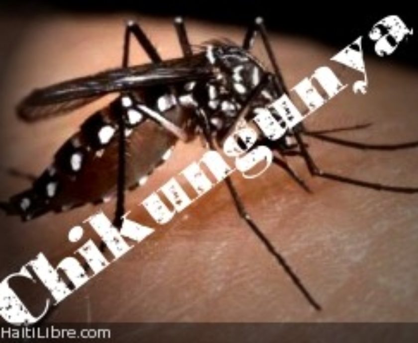 An Introduction to Chikungunya
