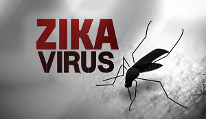 The Year of the Zika Virus