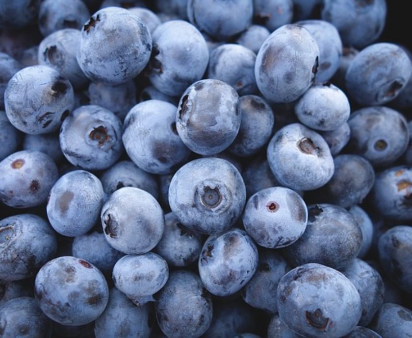 Blueberries: Superfood or Superscam?