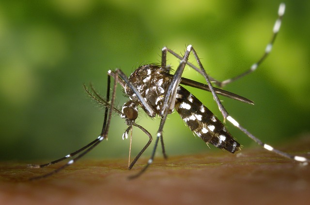CARPHA launches their Mosquito Mission