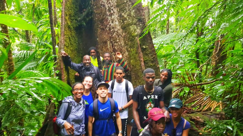 Wellbeing Lessons Learnt from Our Hike Up Mount Liamuiga