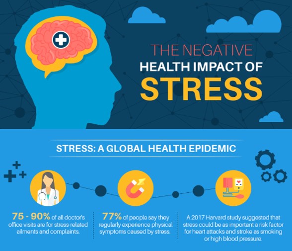 The Negative Impact Of Stress Infographic by SME