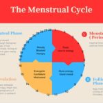 Understanding Menstruation: A Guide to Your Monthly Cycle
