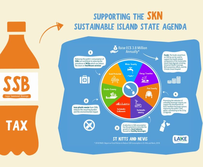 SSBTaxSustainableIslandStateAgenda (Web)