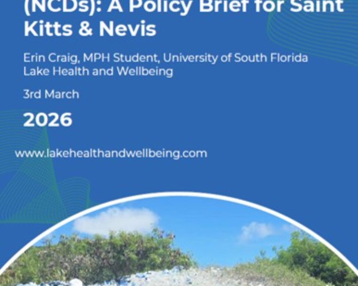 Cover of our policy brief on microplastics and NCDs