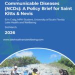 Microplastics and NCDs