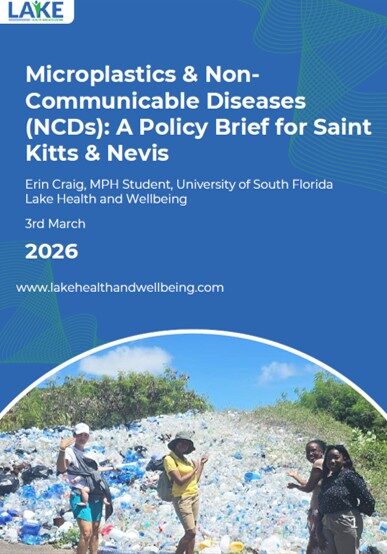 Cover of our policy brief on microplastics and NCDs