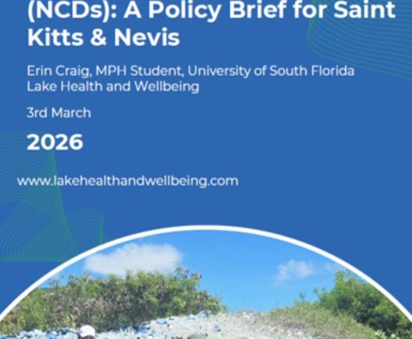 Cover of our policy brief on microplastics and NCDs