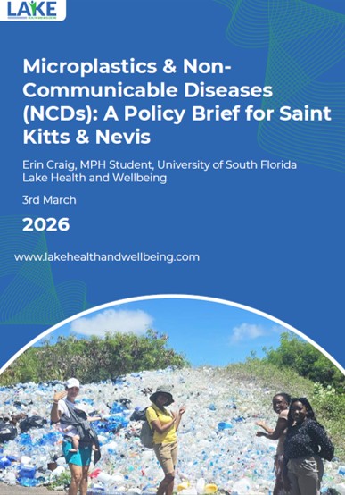 Cover of our policy brief on microplastics and NCDs